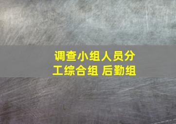 调查小组人员分工综合组 后勤组